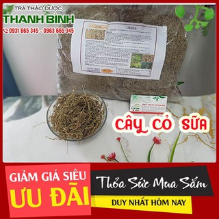 Cây Cỏ Sữa 500g - Hàng Công Ty Đạt Chất Lượng