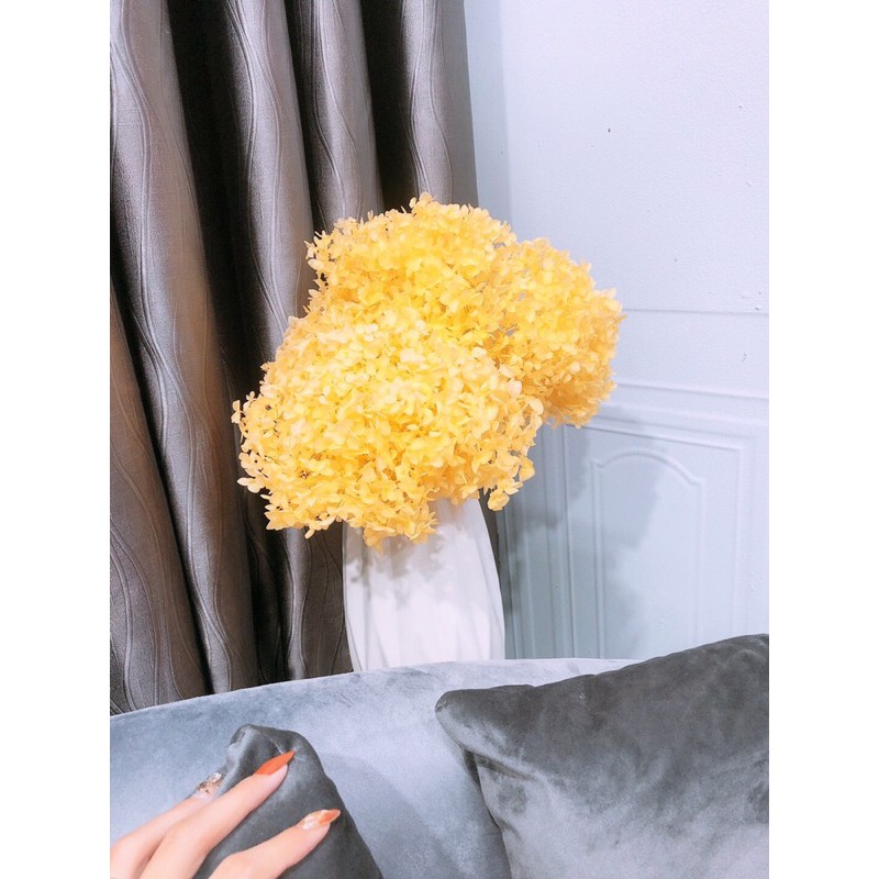 BÔNG HOA CẨM TÚ CẦU KHÔ LOẠI 1