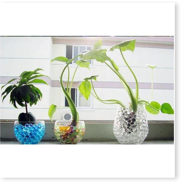 Gói 1000 hạt tinh thể trồng cây không cần đất - chọn theo màu