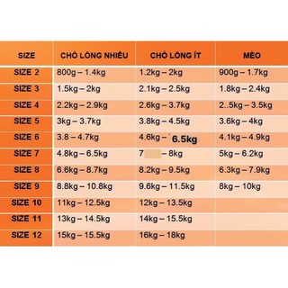 Áo Thun Tết Trâu Chó Mèo