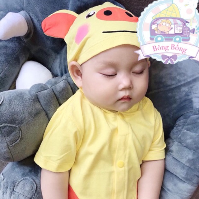BoDy Thú hình con Lợn Vàng