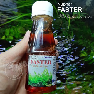 Nuphar Faster | Chế phẩm kích rễ, thúc đẩy tăng trưởng cho cây thuỷ sinh