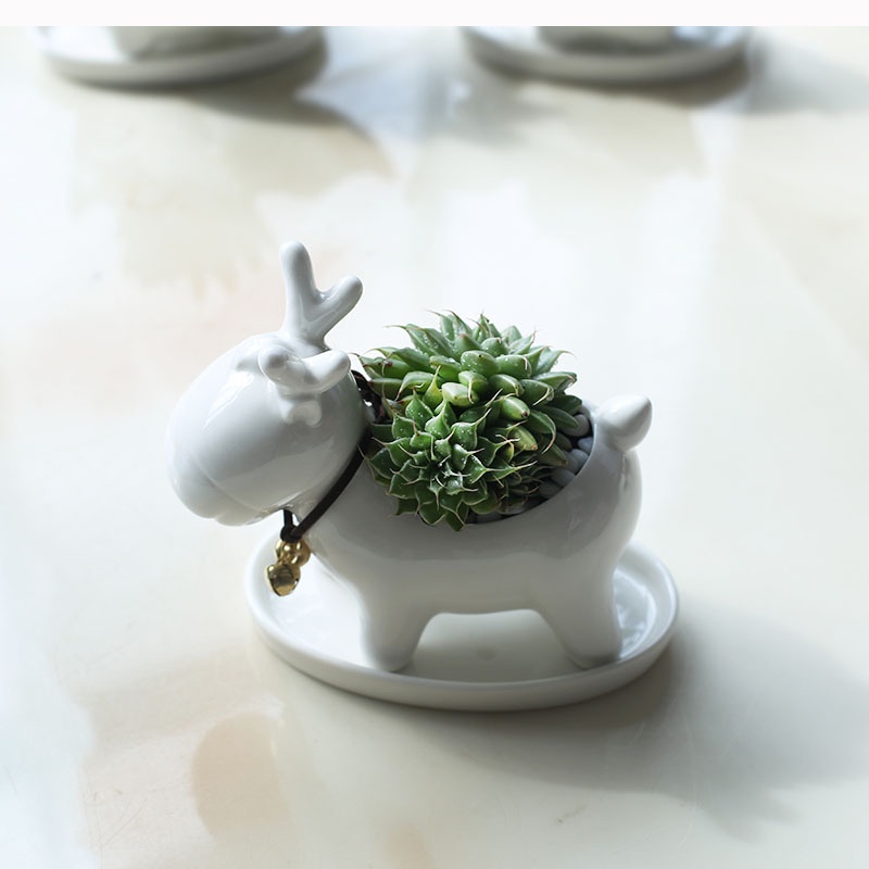 Chậu Trồng Cây Sen Đá, Xương Rồng Cây Mini Tuần Lộc Có Khay Lỗ Thoát Nước