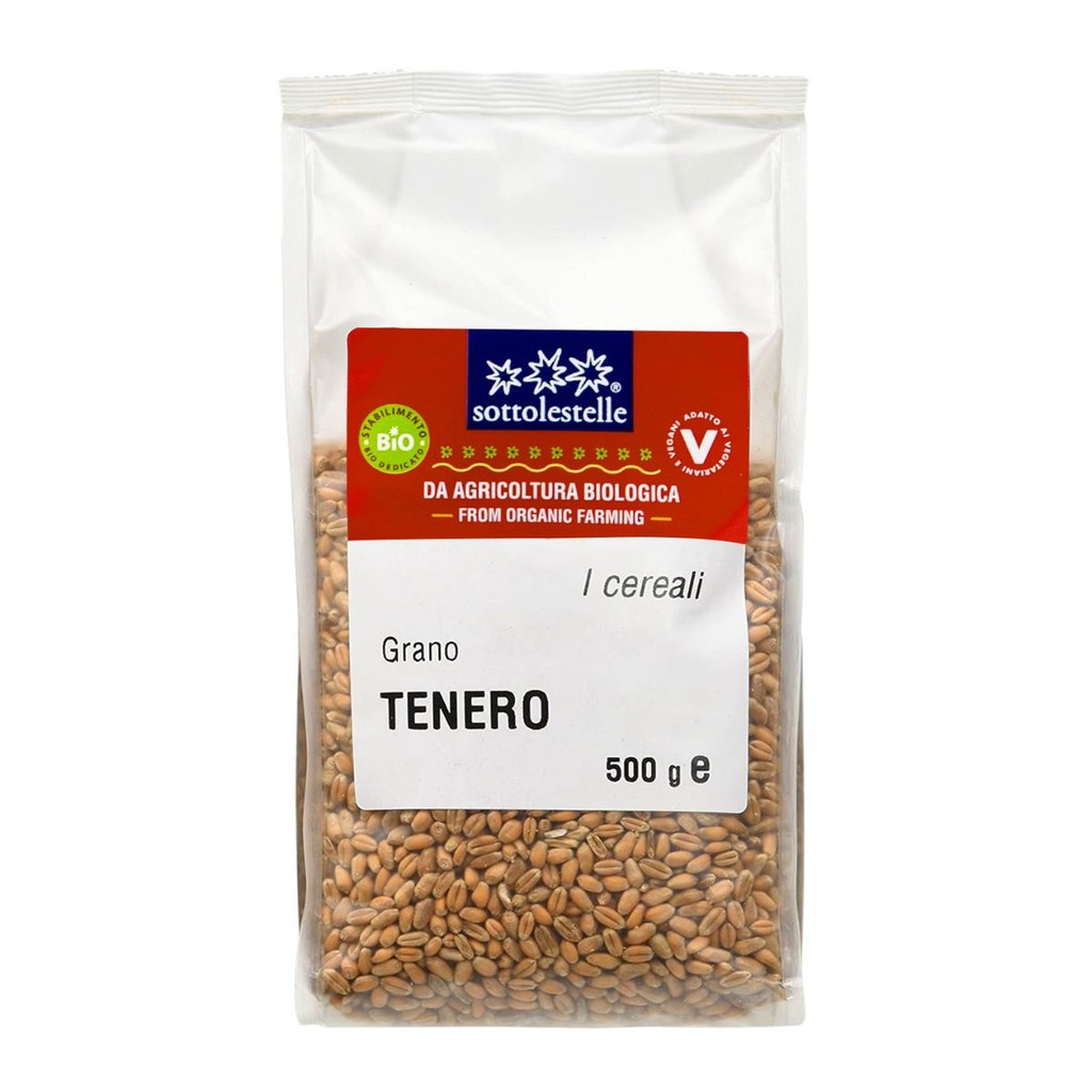 [SOTTOLESTELLE] HẠT CỎ LÚA MỲ HỮU CƠ (500g) - Organic Wheat Seeds