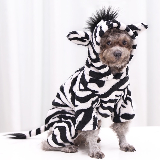 ÁO MÙA THU ĐÔNG CHO THÚ CƯNG STYLE NGỰA VẰN