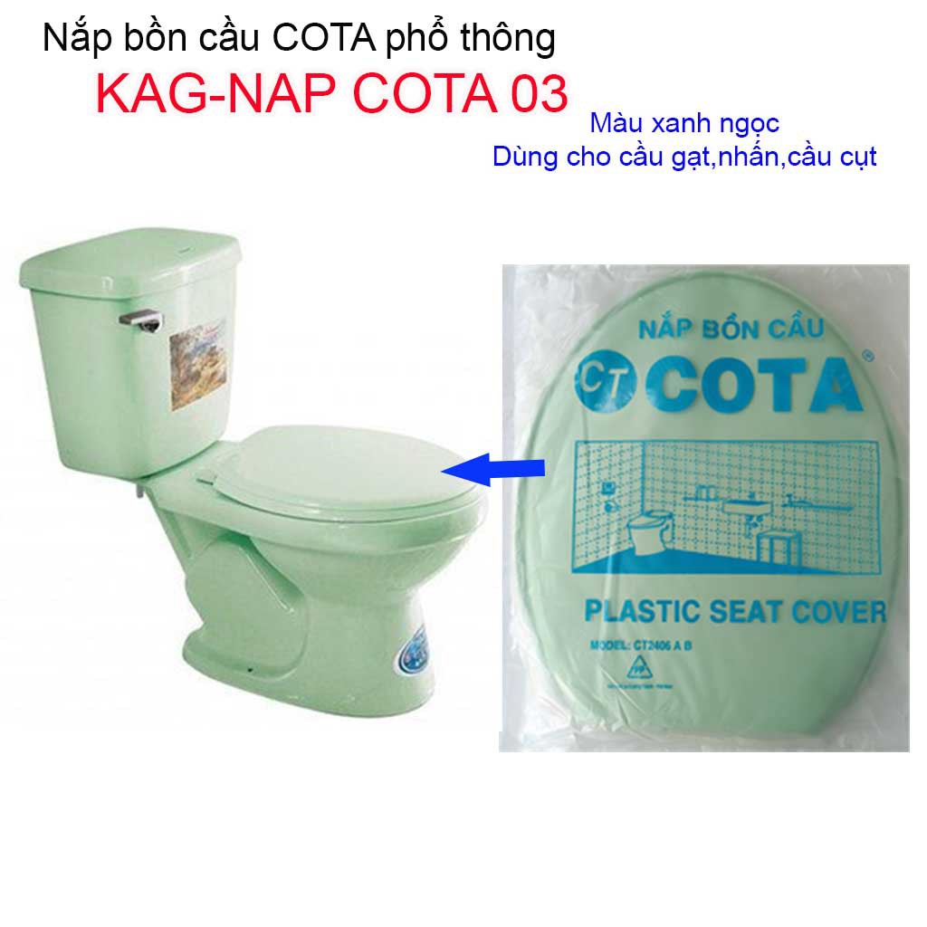 Nắp đậy bàn cầu Cota, Nắp bồn cầu phổ thông màu xanh ngọc giá sỉ KAG-NAP Cota03