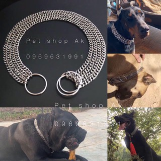 Vòng cổ chó inox 4 sợi hàn liền ,vòng chó to rottweiler,bandog,bully