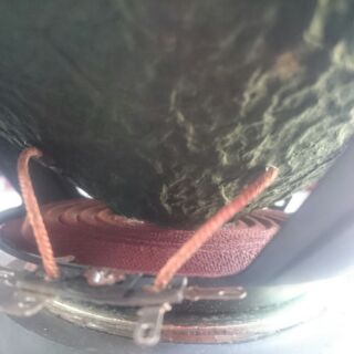 Loa Bass rời 25cm