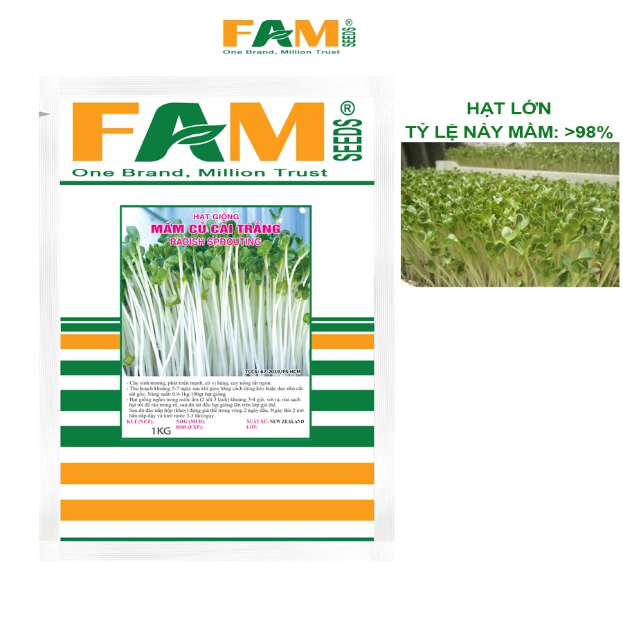 Gói 1kg Hạt Giống Mầm Củ Cải Trắng Hạt Lớn FAM SEEDS - Xuất Xứ New Zealand, Hạt Chắc, Đều, Nảy Mầm Tốt, Phát Triển Nhanh