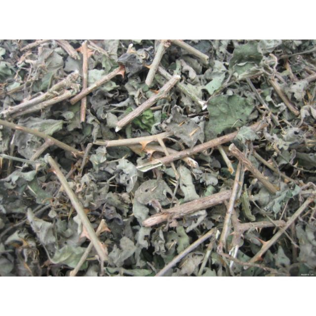 1kg cà gai leo khô Hòa Bình