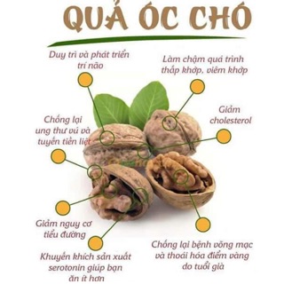 500gr quả óc chó mỹ loại 1 không tẩy trắng vỏ