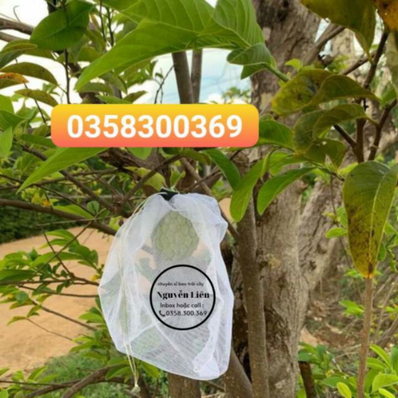 Túi bao trái Na ( 20x25 ) - 5 cái