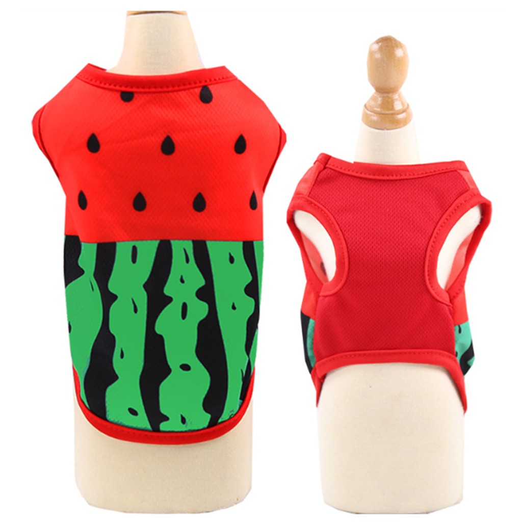 Áo Lưới Họa Tiết Hoạt Hình Cho Thú Cưng