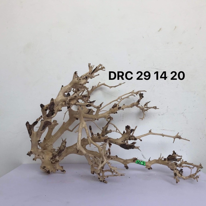 LŨA XƯƠNG CHÙM DÙNG ĐỂ SETUP TÁN CHO CÂY BONSAI, HỒ CÁ