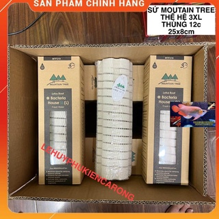 Sứ Củ Sen Thế Hệ 3 Mountain Tree - Size 25cm x 8cm ( 1 Thùng 12 Thanh)