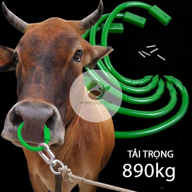 Vòng xỏ mũi trâu bò nhựa chịu lực kéo 890kg