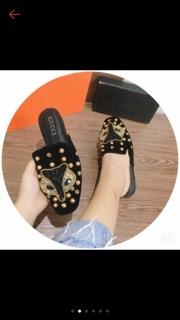 Sục đính đá hồ ly mới