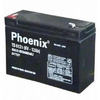 Ắc quy xe máy điện ô tô điện trẻ em 6v 12ah - phoenix ts6120