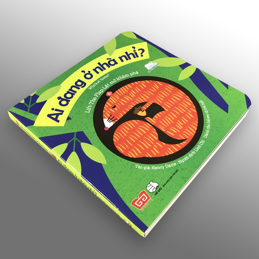 Sách - Ai đang ở nhà nhỉ? (Lift The Flap - Lật mở khám phá) | BigBuy360 - bigbuy360.vn