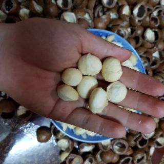 Macca Sấy Daklak
