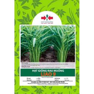 [100 gram] Hạt giống rau muống lá tre Liao 9 giòn, ngọt