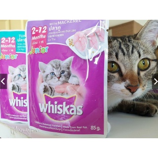 Pate whiskas cho mèo con vị cá thu, cá ngừ túi 80g