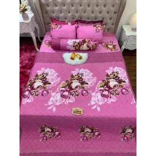 Chăn Hè Thu Trần Bông 1,8*2m