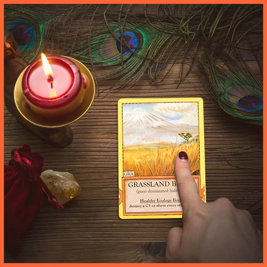 Bộ Bài Tarot Tiếng Anh Độc Đáo Chất Lượng Cao