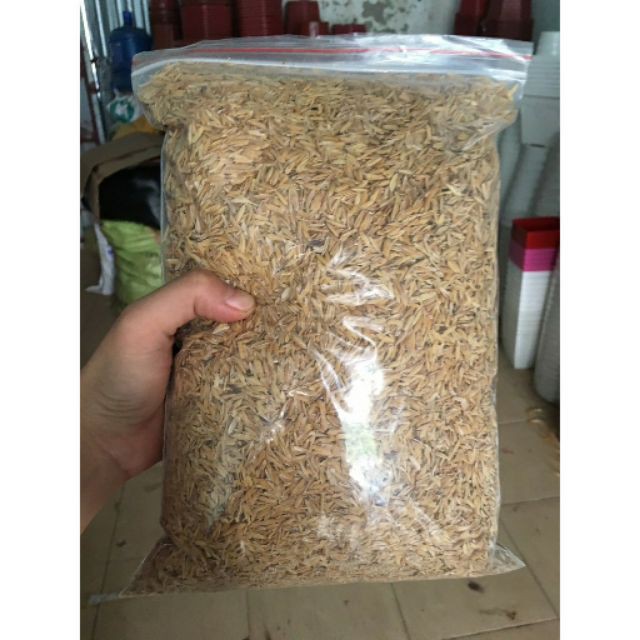 10kg Vỏ trấu khô dùng trộn đất bón cây lan, lót ổ gà, nấu ăn