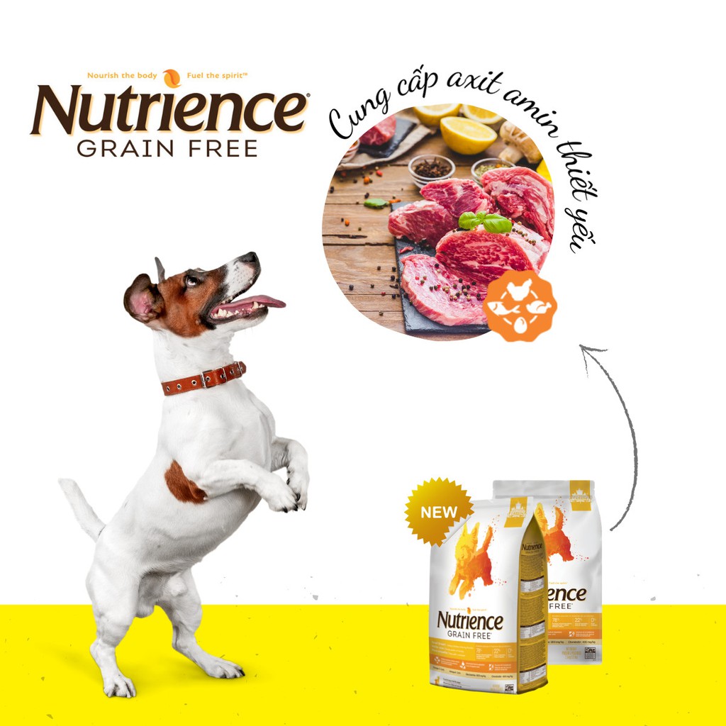 Thức Ăn Cho Chó Bị Tiểu Đường Nutriene Grain Free Bao 2,5kg - Thịt Gà, Cá Trích, Rau Củ Quả, Trái Cây Tự Nhiên