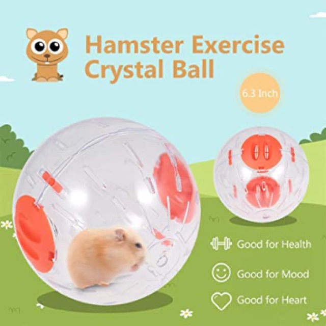 Banh chạy mica không đế, banh chạy hamster, 16cm