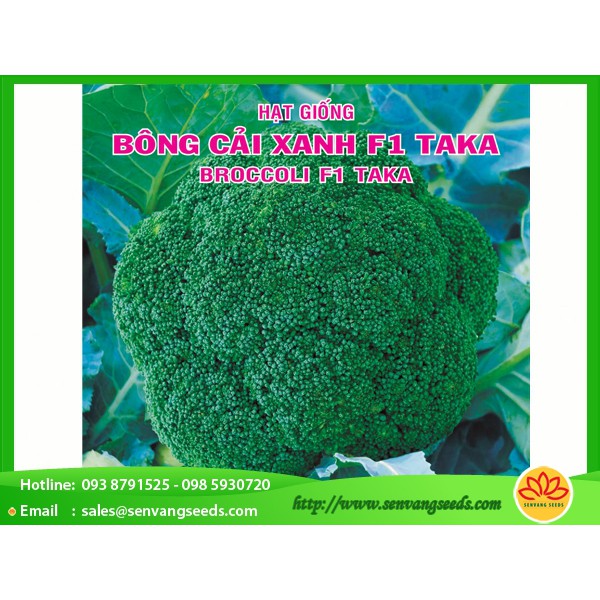 Hạt Giống Bông Cải Xanh F1 Taka - 0.2Gr