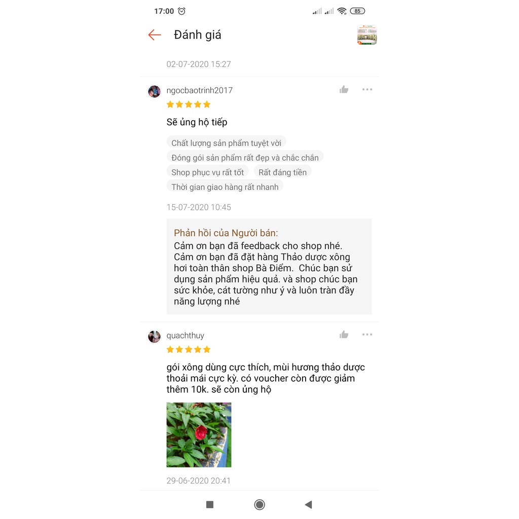 Thảo Mộc Xông Cảm Cúm | Lá Xông Giải Cảm - Thảo Dược Xông Hơi Toàn Thân | BigBuy360 - bigbuy360.vn