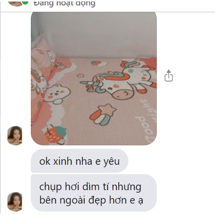 Chiếu điều hoà cao su non ( mặt lụa) Loại 1 (+ 2 vỏ gối)