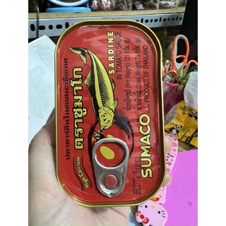 Cá hộp Sumaco Thái Lan