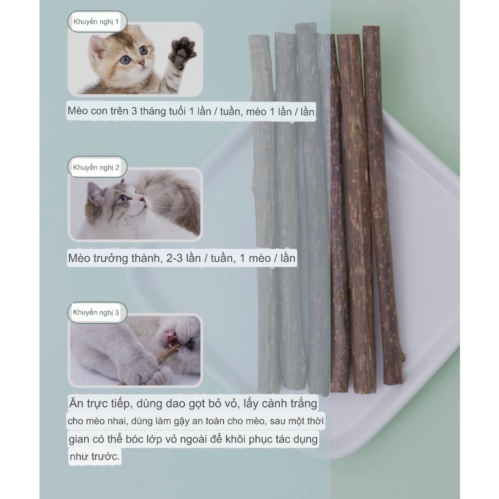 Thanh Gỗ Catnip Gặm Mài Răng Giảm Viêm Răng Stress Cho Mèo