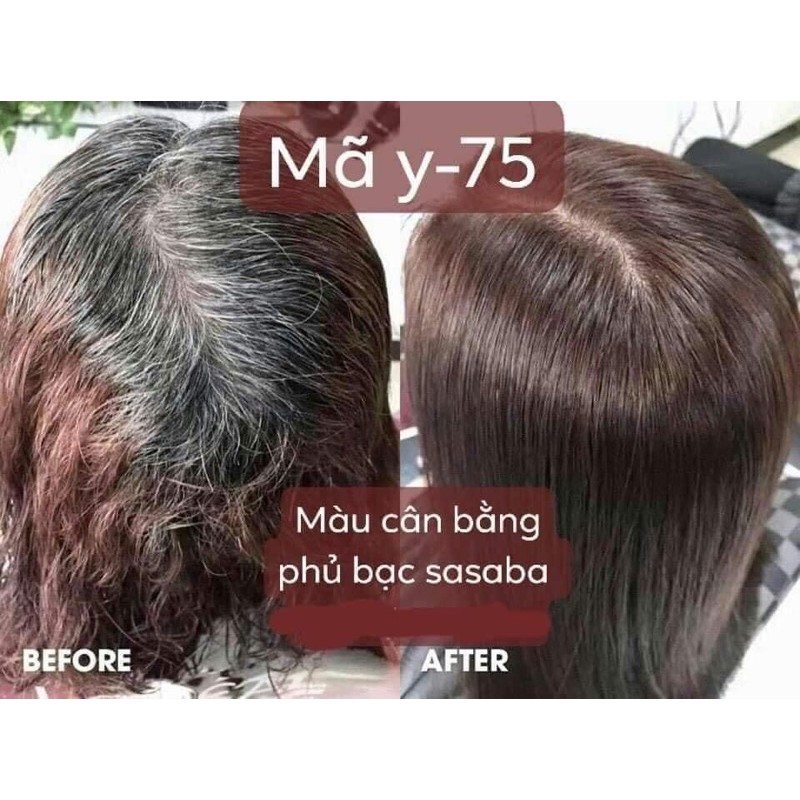 Túi Màu Nhuộm Phủ Bạc Tự Động Cân Bằng Màu Túi 450Ml | BigBuy360 - bigbuy360.vn