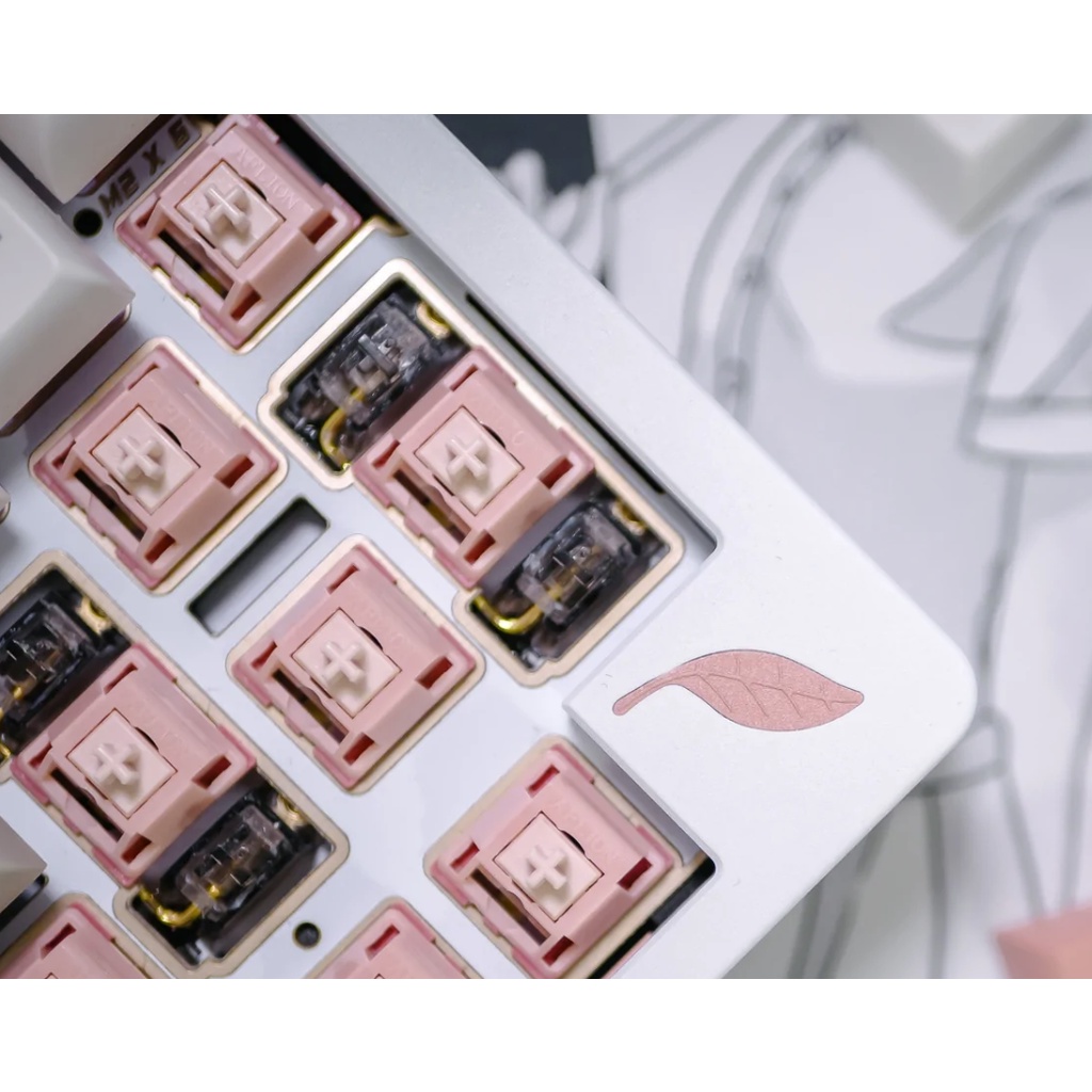 Blush Linear Switch  - công tắc bàn phím cơ