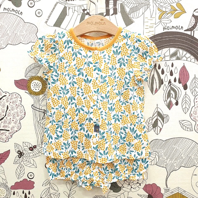 BỘ COTTON GIẤY HANG. MOIMOLN