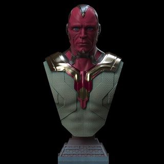File in 3D Vision Bust