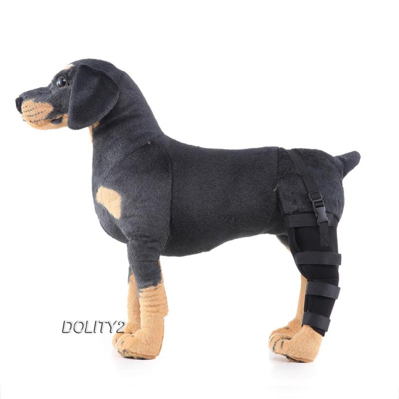 Đai Đeo Trái / Phải Bảo Vệ Chân Cho Chó Dolity2 S