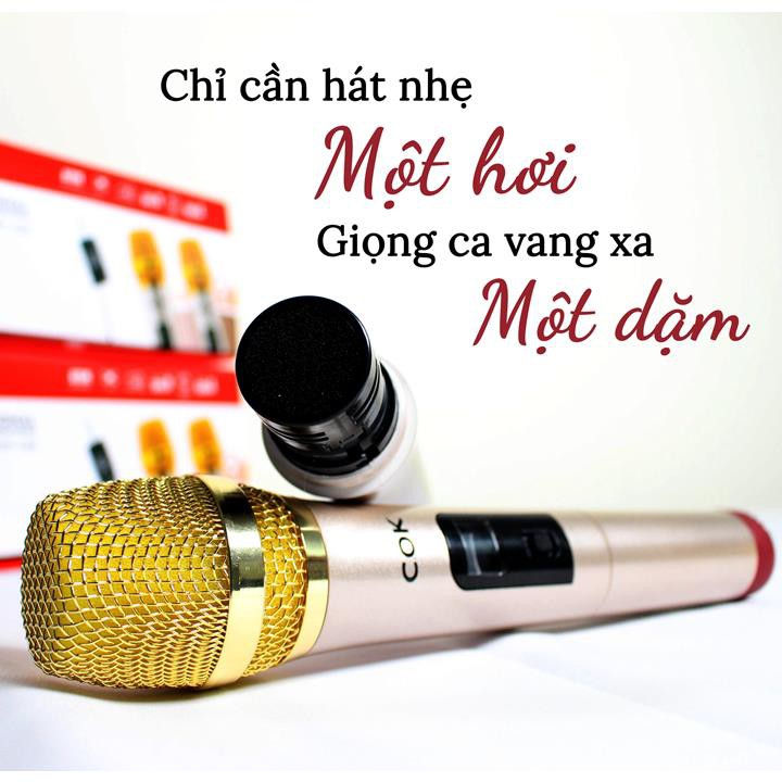 Micro Không Dây C.O.K ST-123 (2 Micro) [Phù Hợp Với Mọi Loa Kéo & Dàn Âm ly, jack 6.5, Bắt Âm Tốt] - Hàng Mới 100% Chính