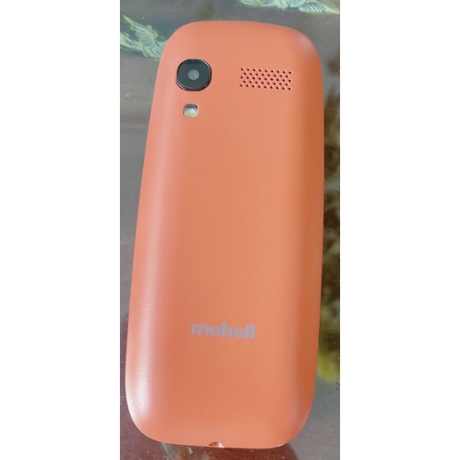 Điện thoại C310