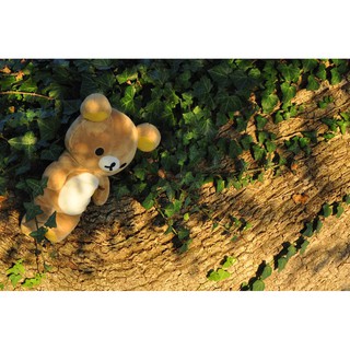 Gấu bông Rilakkuma San-X màu nâu hàng chính hãng