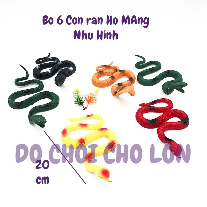 Đồ chơi mô hình 6 CON rắn hổ mang World Reptiles 666M33