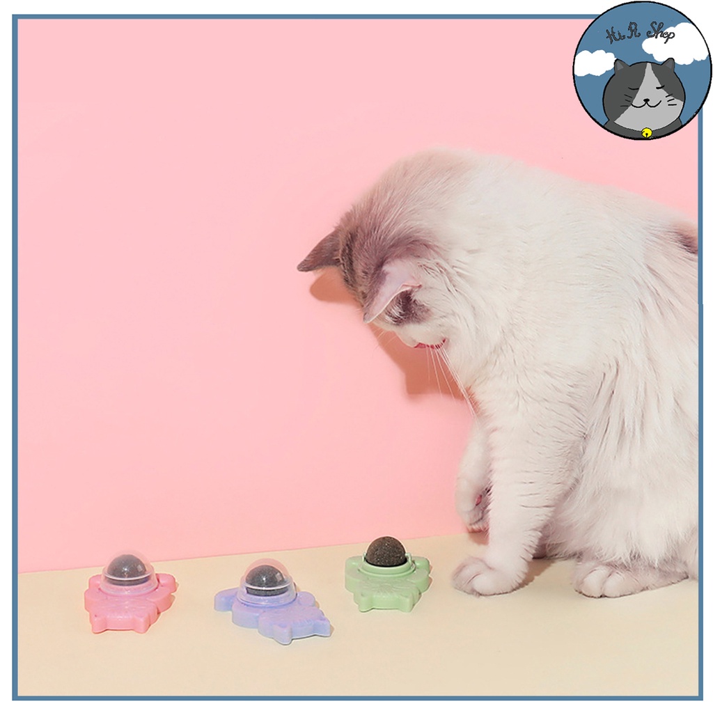 Cỏ Mèo (Catnip) Gắn Tường Cho Mèo Cỏ Bạc Hà Hỗ Trợ Tiêu Hoá Dành Cho Thú Cưng