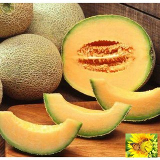 Hạt giống Dưa Lưới Tròn 10 Hạt