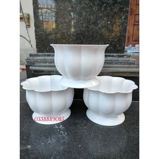 Chậu nhựa trồng cây kèm đĩa hình quả bí 170