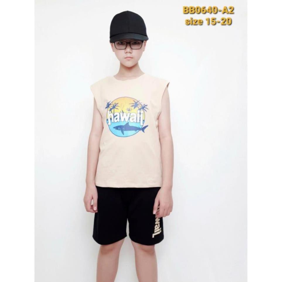 BB0640-A2 - Bộ bé trai cotton , sát nách , in chữ HAWAIL , màu nâu nhạt , size bự 15t-20t