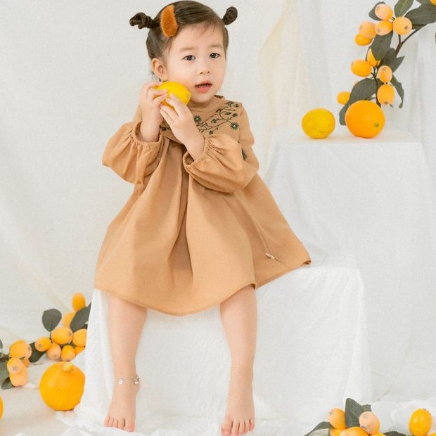 Đầm váy cho bé gái tay phồng thêu hoa - Pea Dress